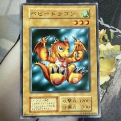 ベビードラゴン