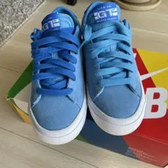 NIKESB スニーカー23センチのサムネイル
