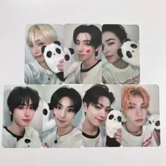 ENHYPEN Romance:untold 中華 パンダ yzy 7種セット