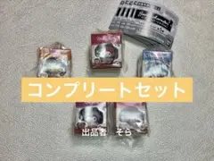 サンリオキャラクターズ ミニチュアパッケージコレクション　5種コンプリートセット