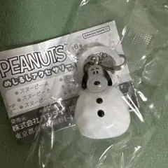 PEANUTS めじるしアクセサリー FUNNYver. スヌーピー E