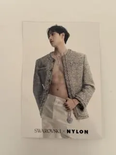 straykids バンチャン ポストカード SWAROVSKI nylon