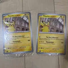 2枚 イギリスロンドン自然史博物館ピカチュウPikachu at the - メルカリ