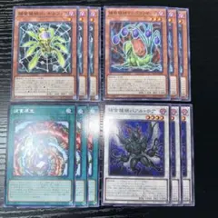 【gia-fenser】遊戯王 捕食植物　プレデタープランツ　カードセット