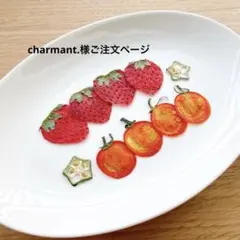 charmant.様ご注文ページ　押しフルーツ