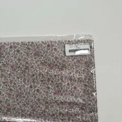 Item thumbnail for item 2b741ad8-7473-41e7-8ec2-611eff74dea6