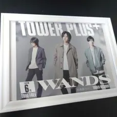 WANDS 5期 会報 vol.10ファンクラブ 新品未開封 ワンダーランドネオ