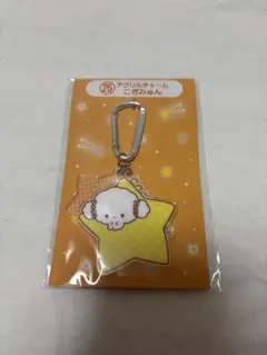 こぎみゅん アクリルチャーム 2025年サンリオキャラクター大賞当りくじ