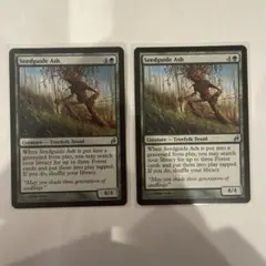 MTG Seedguide Ash x2 LRW U 235