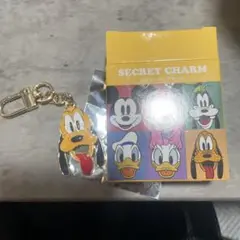 ディズニー　シークレットチャーム　プルート