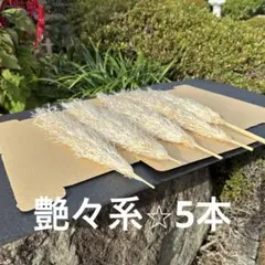 パンパスグラス インテリア