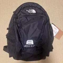 【期間限定価格】THE NORTH FACE SMALL DAY リュック