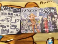新世紀エヴァンゲリオン プレミアムエディション 13・14巻