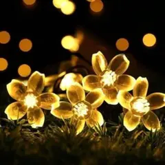 Item thumbnail for item 870c0366-b0f8-4360-b242-ea7f75046db2