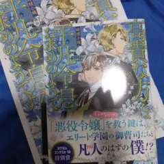 BL小説 時枝小鳩『高貴な方々は平凡令息をお求めのようです みんなが僕にだけ