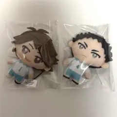 ハイキュー!! ガチャガチャぬいぐるみ 岩泉一 及川徹 - メルカリ