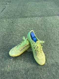 サッカースパイクPUMA FG evoSPEED 限定品