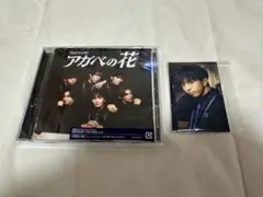 MATSURI アガベの花 通常盤