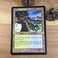 MTG 湿地の干潟/Marsh Flats SPG ボーダーレス 英語版 - メルカリ