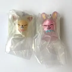 めじるしアクセサリー　skzoo フォクシニー　トゥエッキ　2つセット