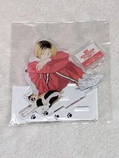 2026年最新】猫部 ハイキューの人気アイテム - メルカリ