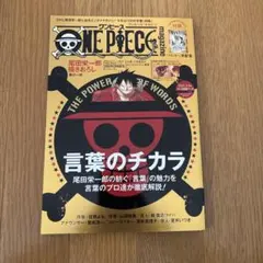 ONE PIECE magazine 特集号　手配書付き