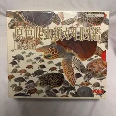 YUJIN 原色爬虫類カメ目図鑑 記念版 6体セット 株式公開記念 希少非売品!のサムネイル