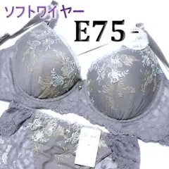 Item thumbnail for item 80f65fb1-6b9a-4c93-afd2-4d80b46a8dba