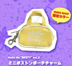 2026年最新】ビーファーストミニボストンの人気アイテム - メルカリ