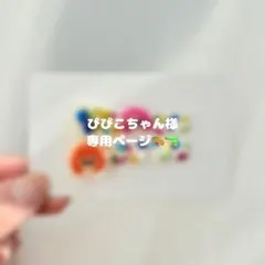 ぴぴこちゃん様 専用ページ