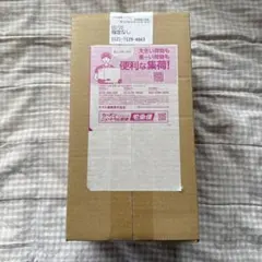 ポケモンカードゲーム スカーレット＆バイオレット スペシャルBOX フクオカ