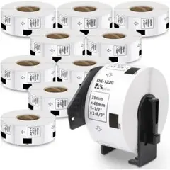 Item thumbnail for item 1cc1428d-b924-483f-b20e-2db69be4794b