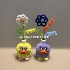 モールフラワー