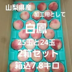 9⃣ 山梨県産 白鳳 ４９玉 (加工用として) 箱込7.8キロのサムネイル