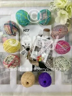 新品未使用】KFS オスカーたちのクローゼット☆梅村マルティナ☆Opal