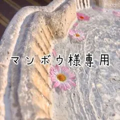 マンボウ様専用ページ