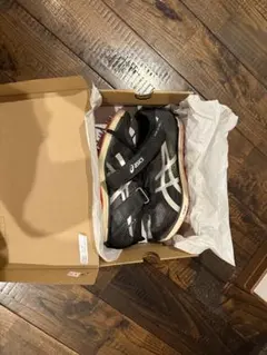 ソニックスカイプロ