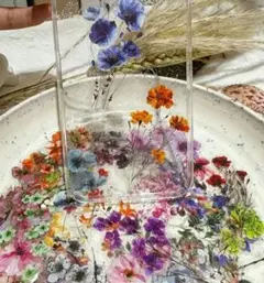 50枚！透明な花のPET、コラージュ素材ハンドメイド、 リアルなフラワー、レジン