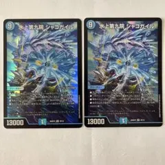 k*t様 水上第九院 シャコガイル 2枚 - メルカリ