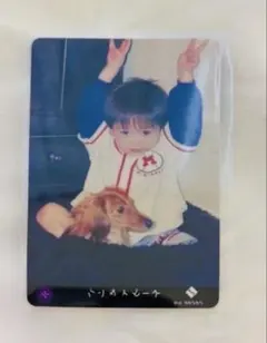 초특급 료가 에타모메 No.283 반자이피스