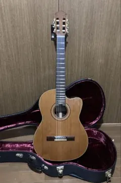 オベーション エレガットセレブリティ CC-13 純アコをエレガット