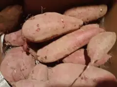 軽バスおやじさま専用16kg やや訳あり さつまいも 紅はるか