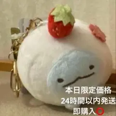 いちごだいふく ぶらさげ ぬいぐるみ とかげ すみっコぐらし堂 和菓子 大福