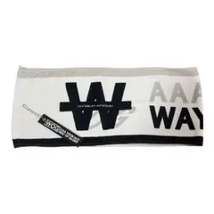 即発送　AAA TOUR 2017 WAY OF GLORY タオル　おまけ付き