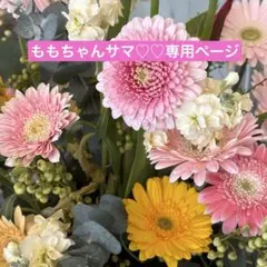 ももちゃんサマ♡♡専用ページ