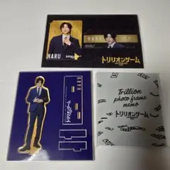 トリリオンゲーム ハル アクスタ カードセット メモセット