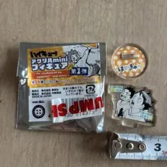 ハイキュー　アクリルミニフィギュア　及川　岩泉