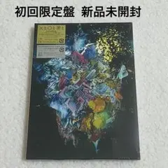 RADWIMPS ×と○と罪と アナログ盤 LP レコード 限定盤 新品未開封 RADWIMPS ×と〇と罪と LP盤 アナログ レコード 新品 未開封 - メルカリ