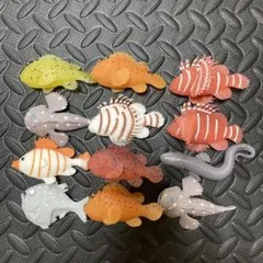 ディアゴスティーニ　シーモンスターズ　&co mini アンドコ　１２個セット