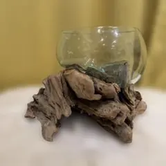 吹きガラスの花瓶、流木台座